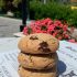 Fit Cookie